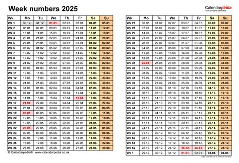 Nigh Is Now! 2025 𝚆𝚊𝚝𝚌𝚑 On International Streaming
